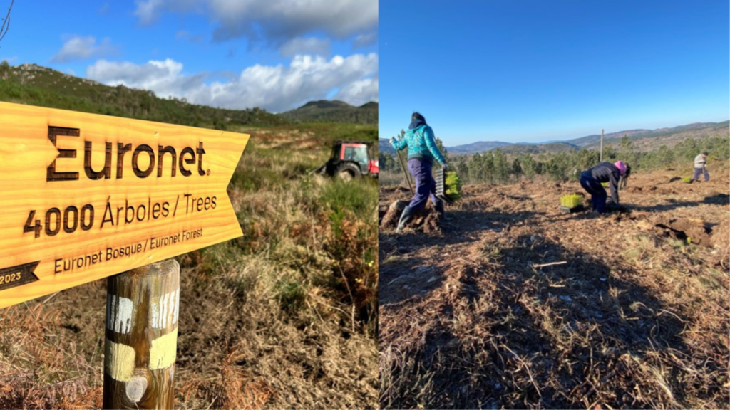 Proyecto Desarrollo Sostenible “Reforestación 2023”